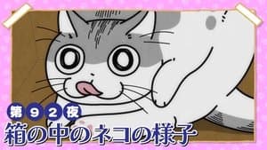 Night 92: What's the Cat Doing Inside the Box?