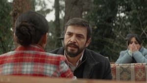 Shuttle, Wallet, Love, and Death