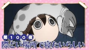 Night 100: He Seems to Like Sleeping in Tight Spots