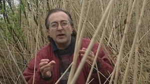 The Guerrilla Base of the King - Athelney, Somerset