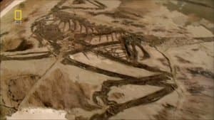 Last Living Dinosaur