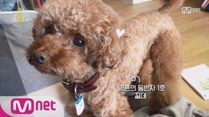 SHINee Key Introduces His Lover: CommeDes & Garçons