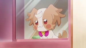 It Starts with "Wonderful!"