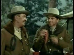 What Makes Auntie Freeze