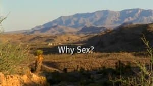 Why Sex?
