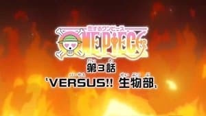 Versus!! The Biology Club