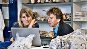 The Great Famine And The Black Death