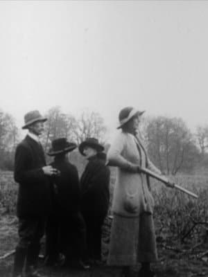 Pheasant Shooting Topical Budget 111-2