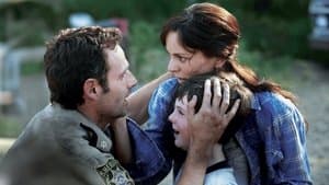 Tell It to the Frogs