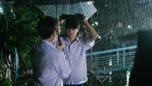 If The Plant Is Dead Long Ago, I Would Keep The Pot To Collect Its Debris