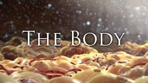 Keys to Overcoming Modern Day Diseases