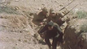 The Last Day of the Year