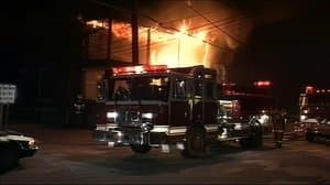 Frozen Terror & Fiery Chaos