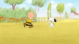 He’s Your Dog, Charlie Brown
