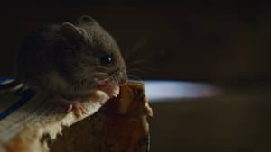 Chapter Three: Get Out