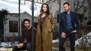 Is there a time for your son to fall in love?