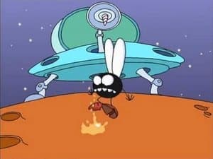 The Cosmos and Beyond