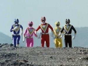 The Five Sibling Warriors