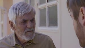 The Battle of Pillville