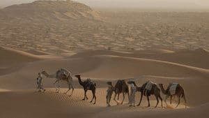 The Sahara