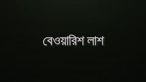 Bewarish Lash