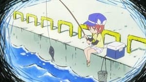 The Case Of The Missing Fish