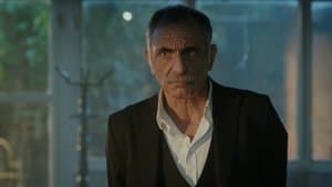 Until the Mother Wakes Up, All Houses Are Dark