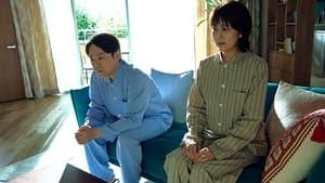 My Wife's Memory Lies