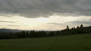 Panama: Swim to Survive