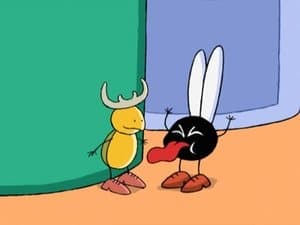 The Fly, and the Beatle