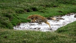 East: The Last Refuge