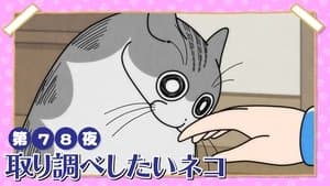 Night 78: The Cat Who Wants to Interrogate