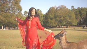 My "Deer" Friends: Guardians of Nara