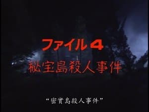 Treasure Island Murder Case