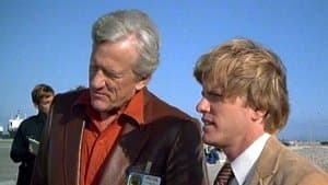 Portrait of a Playmate