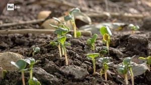 La macchina della ricchezza