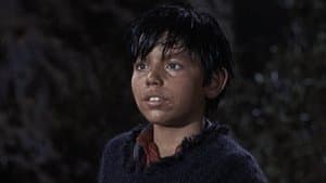 El Toro Grande