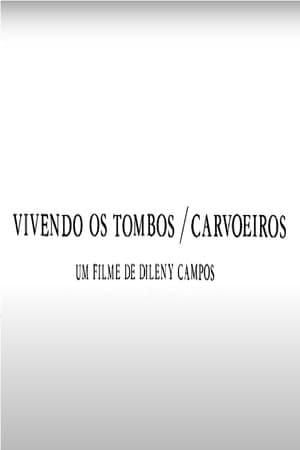 Vivendo os Tombos: Carvoeiros
