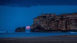 Chapter VI - More Than Just a Wipeout