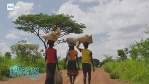 L'impronta ecologica