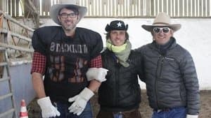 Mit Alb-Büffeln durchs Ländle