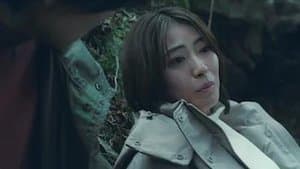 For the One You Love