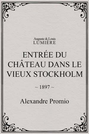 Entrée du château dans le vieux Stockholm