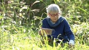 Green Mountain Grandma