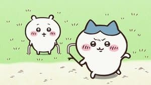 I Want a Camera / Ei!