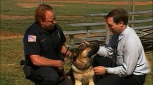 Unbelievable Chaos: Explosions, Escapes, and Close Calls