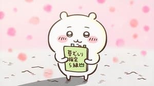 Congrats / Let's Try Again