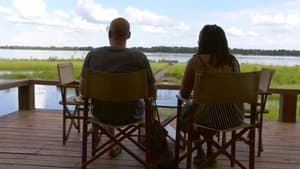 How Did We Get Here?