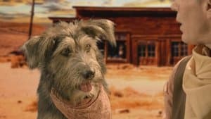 Movie Star Dogs & Hounds and Horses