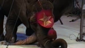 The Scariest Show on Earth